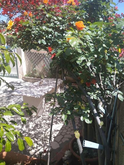 Apartament Gollai House Orosei Zewnętrze zdjęcie